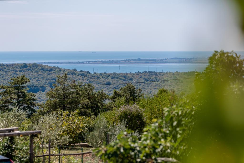 Vila Sistiana Kostanjevica na Krasu Экстерьер фото