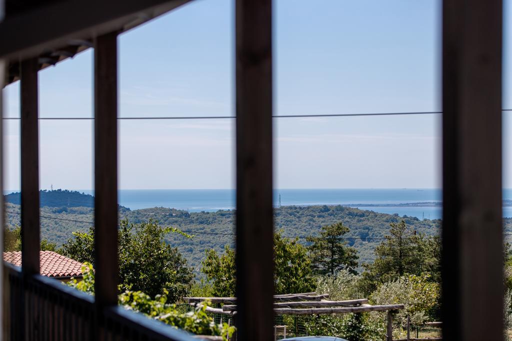 Vila Sistiana Kostanjevica na Krasu Экстерьер фото